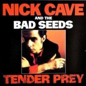 Nick  Cave & The Bad Seeds - Tender Prey (cover)