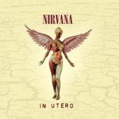 Nirvana - In Utero (20th Anniversary) (cover)