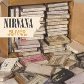 Nirvana - Sliver (cover)