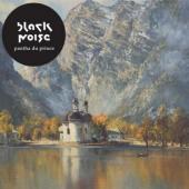Pantha Du Prince - Black Noise (cover)