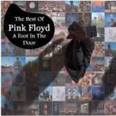 Pink Floyd - The Best Of (A Foot In The Door) (cover)