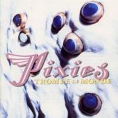 Pixies - Trompe Le Monde (cover)