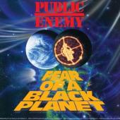 Public Enemy - Fear of a Black Planet (LP+Download)
