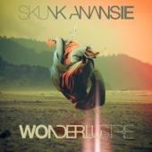 Skunk Anansie - Wonderlustre (LP) (cover)