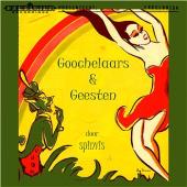Spinvis - Goochelaars & Geesten (LP) (cover)