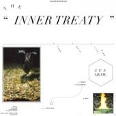 Sun Araw - Inner Treaty (cover)