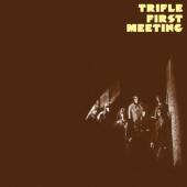Trifle - First Meeting (LP)