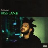 Weeknd - Kiss Land (cover)