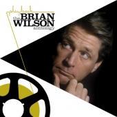 Wilson, Brian - Playback (The Anthology)