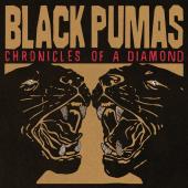 Black Pumas - Chronicles Of A Diamond (Transparent Red Vinyl) (LP)